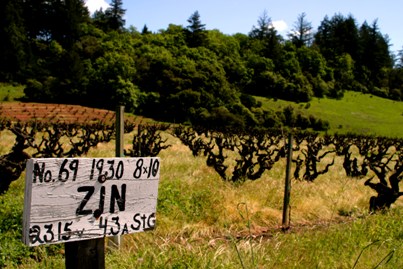 Dry Creek Valley
